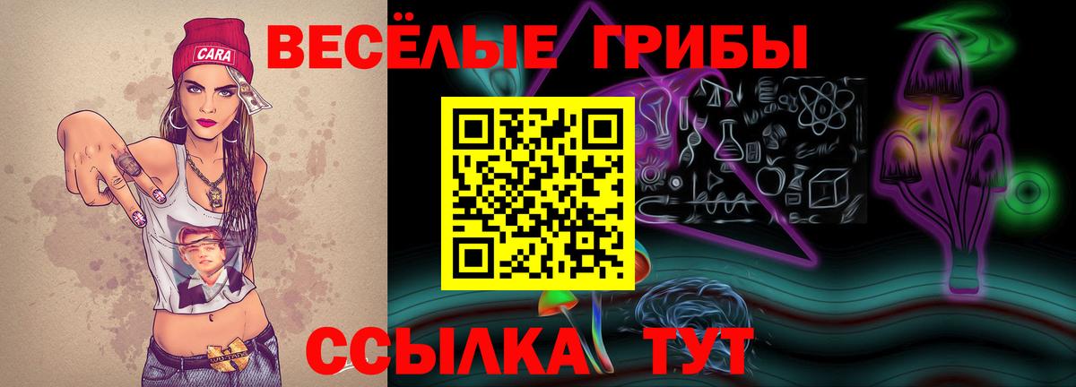 Галлюциногенные грибы Psilocybe  даркнет сайт  Нижневартовск  Вход с VPN 